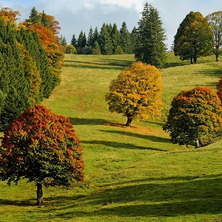 Abnoba Mons Design 아파트 *