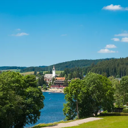 Abnoba Mons Design 렌즈키르흐