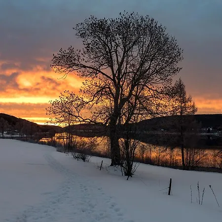 Abnoba Mons Design 렌즈키르흐