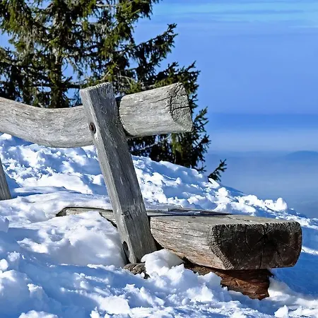 아파트 Abnoba Mons Design