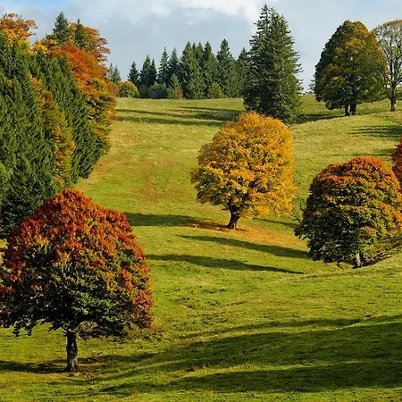 아파트 Abnoba Mons Design 렌즈키르흐