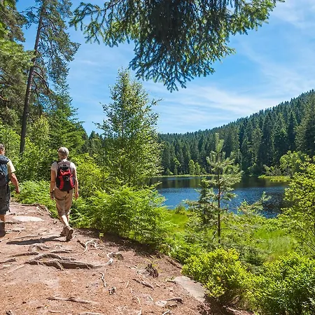 아파트 Abnoba Mons Design 렌즈키르흐