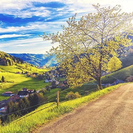 Abnoba Mons Design * 렌즈키르흐